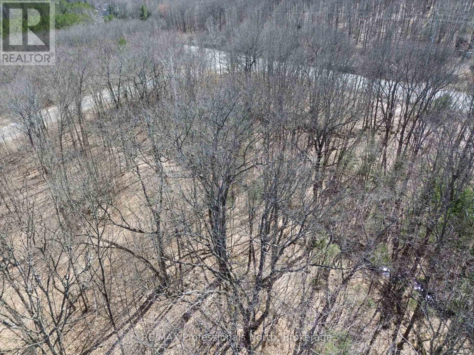 1023 Little Hawk Lake Road, Algonquin Highlands, Ontario  K0M 2K0 - Photo 5 - X12126717