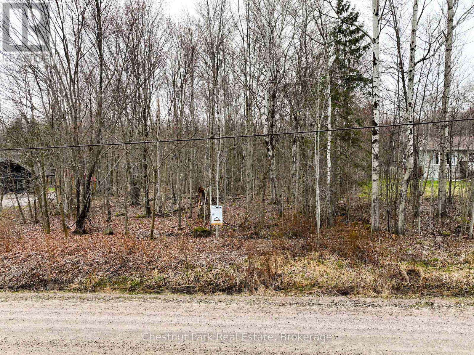 Lot 39 Mountian View Road, Nipissing, Ontario  P0H 1Z0 - Photo 5 - X12127909
