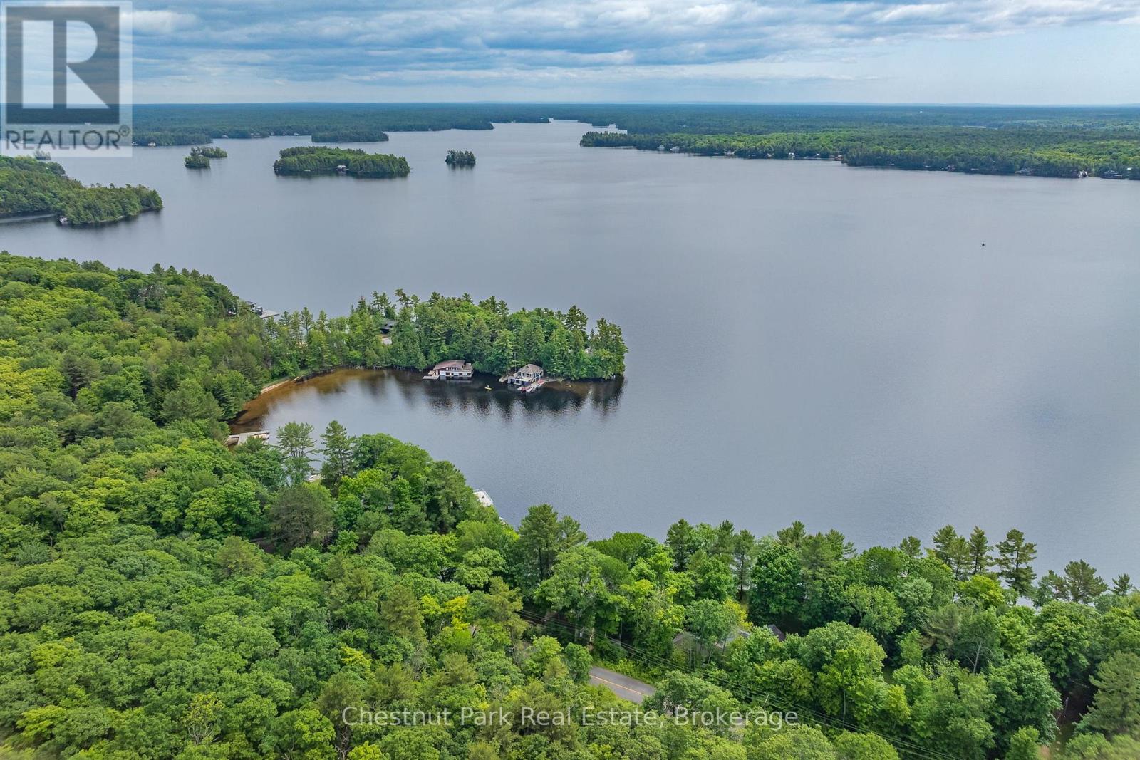 1516 Mortimers Pt Road, Muskoka Lakes, Ontario  P0B 1J0 - Photo 4 - X12127941