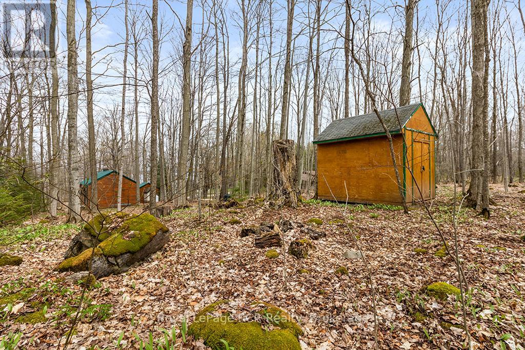 262 Canrobert Street, Grey Highlands, Ontario  N0C 1E0 - Photo 41 - X12128939