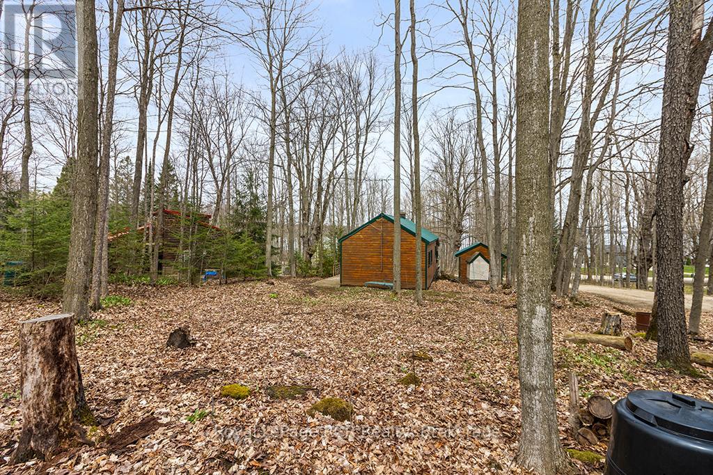 262 Canrobert Street, Grey Highlands, Ontario  N0C 1E0 - Photo 42 - X12128939