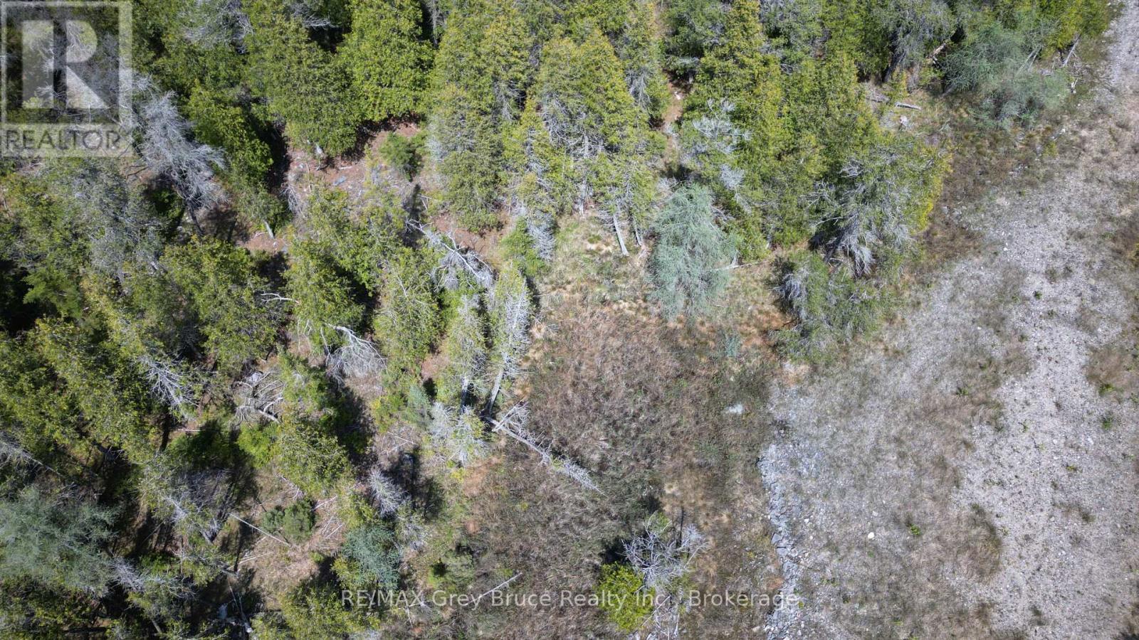 Lt 254 Dorcas Bay Road, Northern Bruce Peninsula, Ontario  N0H 2R0 - Photo 10 - X12129284