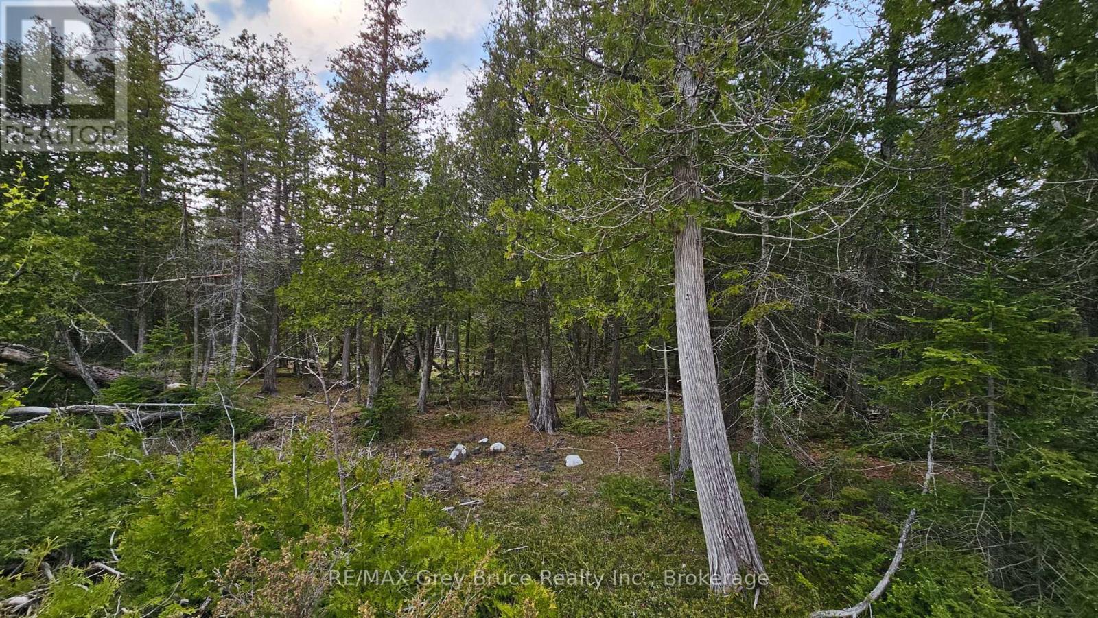 Lt 254 Dorcas Bay Road, Northern Bruce Peninsula, Ontario  N0H 2R0 - Photo 13 - X12129284