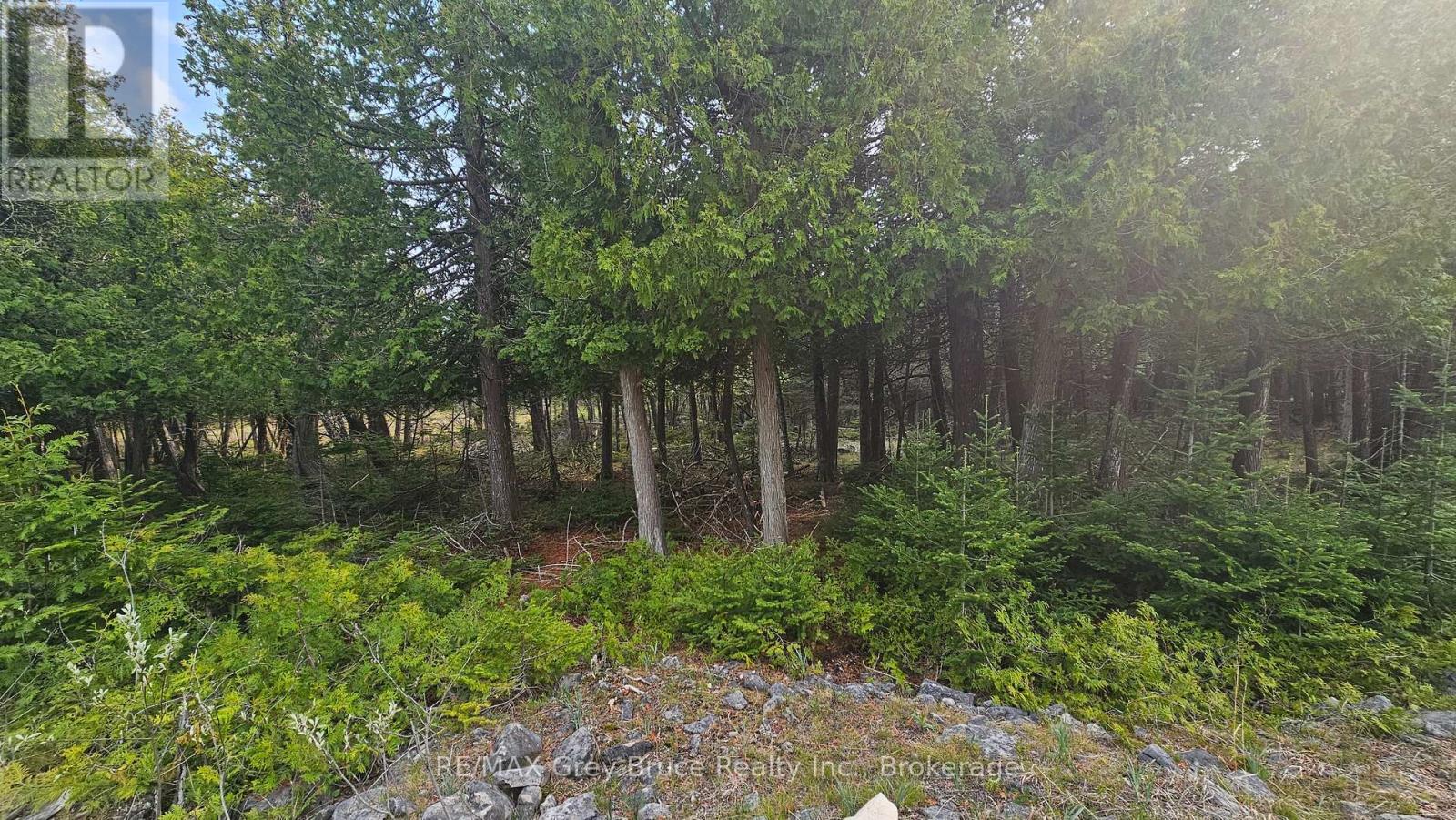 Lt 254 Dorcas Bay Road, Northern Bruce Peninsula, Ontario  N0H 2R0 - Photo 14 - X12129284