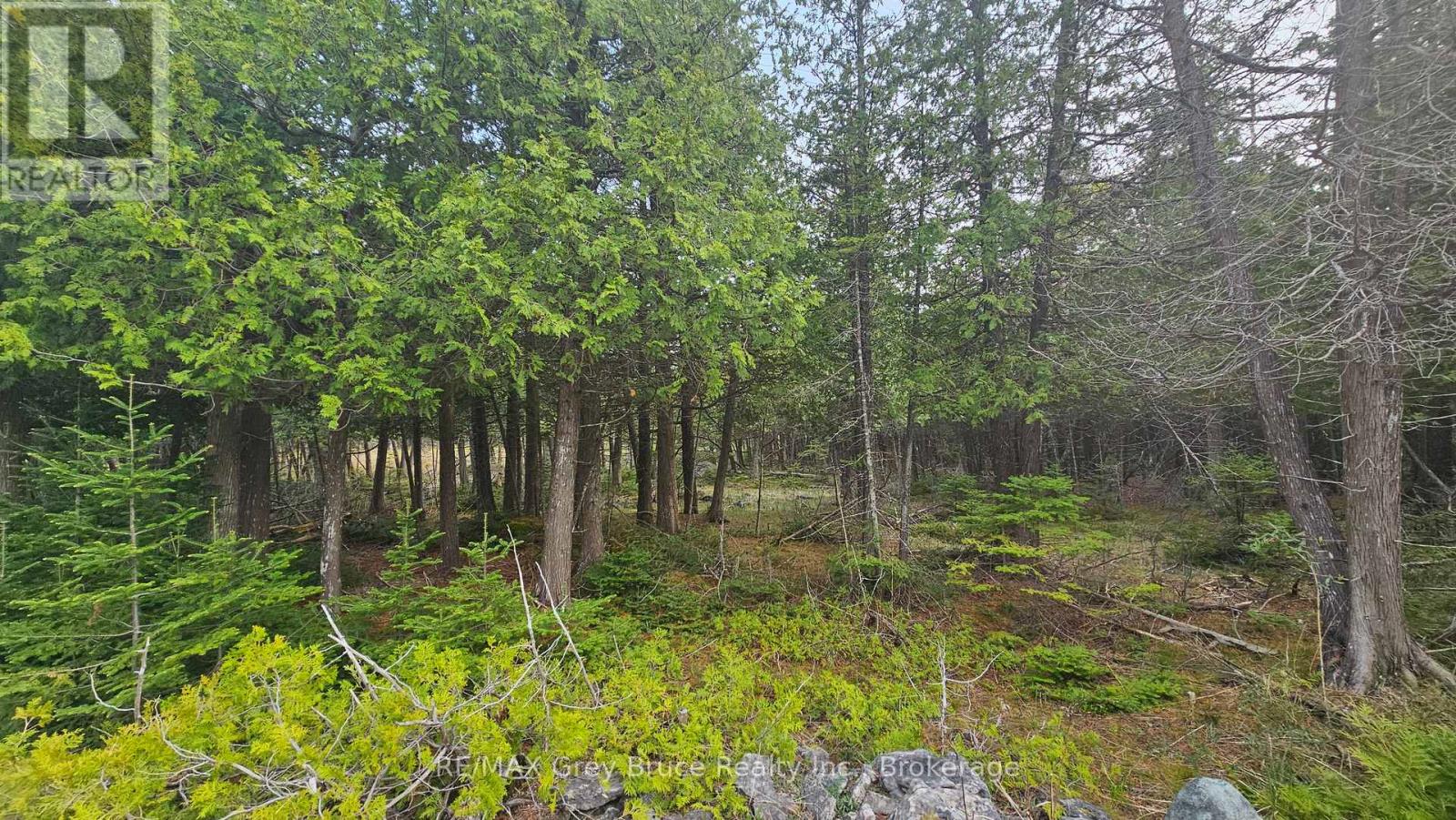 Lt 254 Dorcas Bay Road, Northern Bruce Peninsula, Ontario  N0H 2R0 - Photo 15 - X12129284