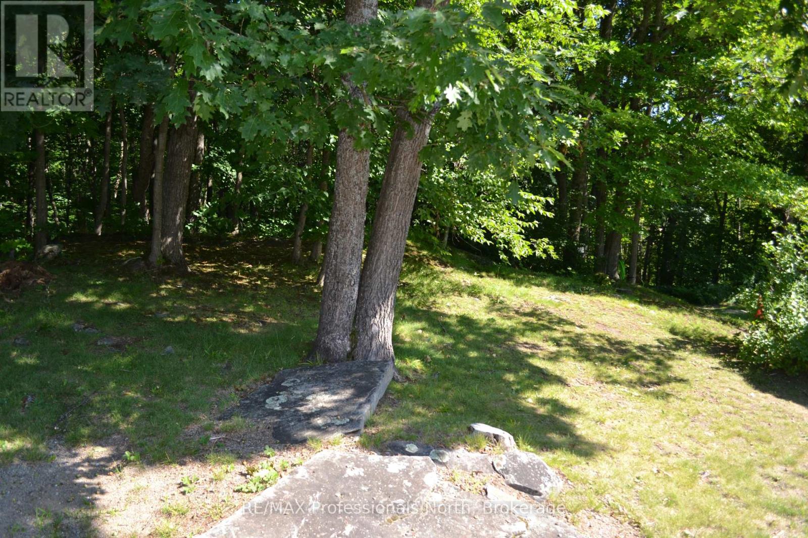 22 - 26 Herman Avenue, Huntsville, Ontario  P1H 1J6 - Photo 20 - X12129299