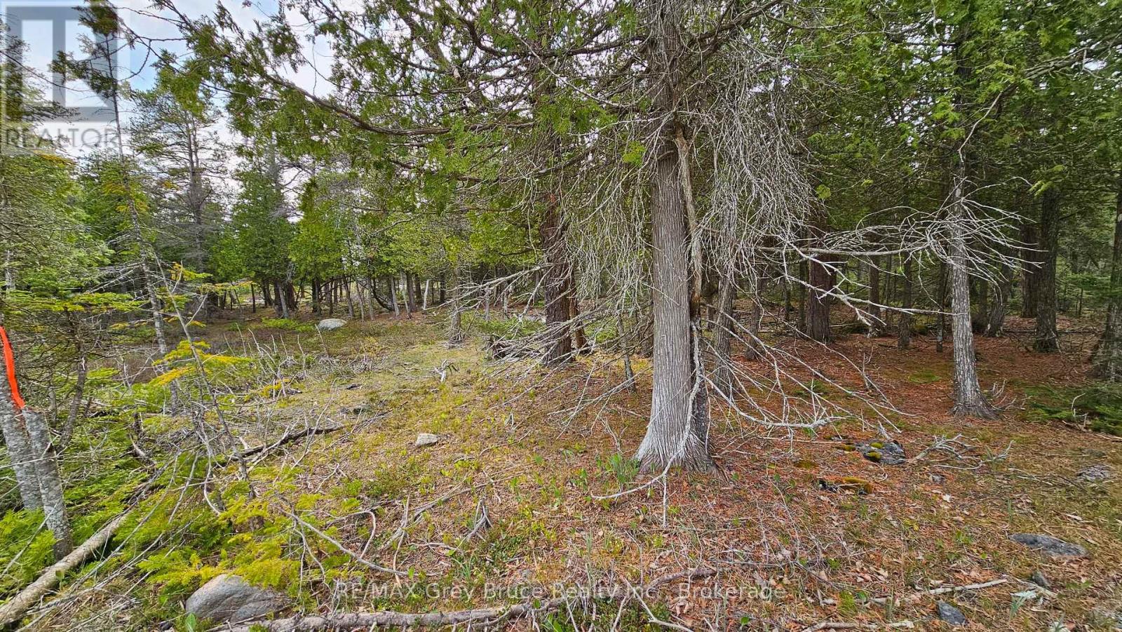 LT 255 PEDWELL PT. DRIVE, Northern Bruce Peninsula, Ontario