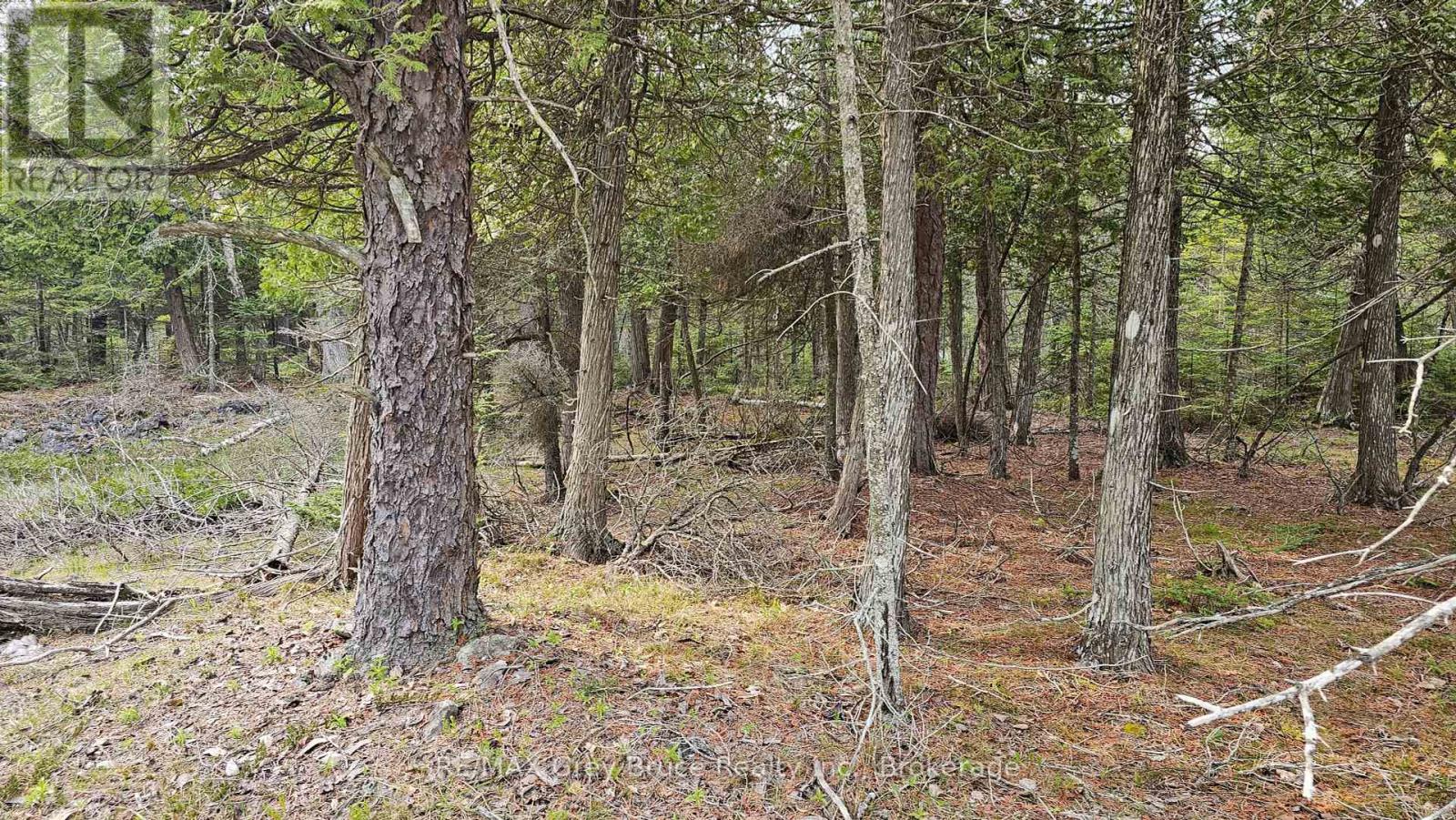 Lt 255 Pedwell Pt. Drive, Northern Bruce Peninsula, Ontario  N0H 2R0 - Photo 10 - X12129332