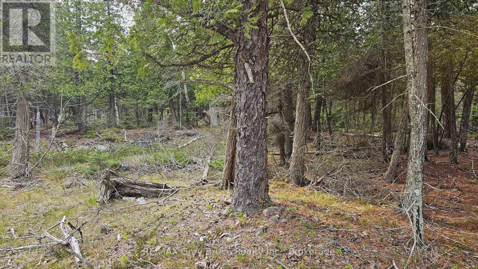 Lt 255 Pedwell Pt. Drive, Northern Bruce Peninsula, Ontario  N0H 2R0 - Photo 11 - X12129332