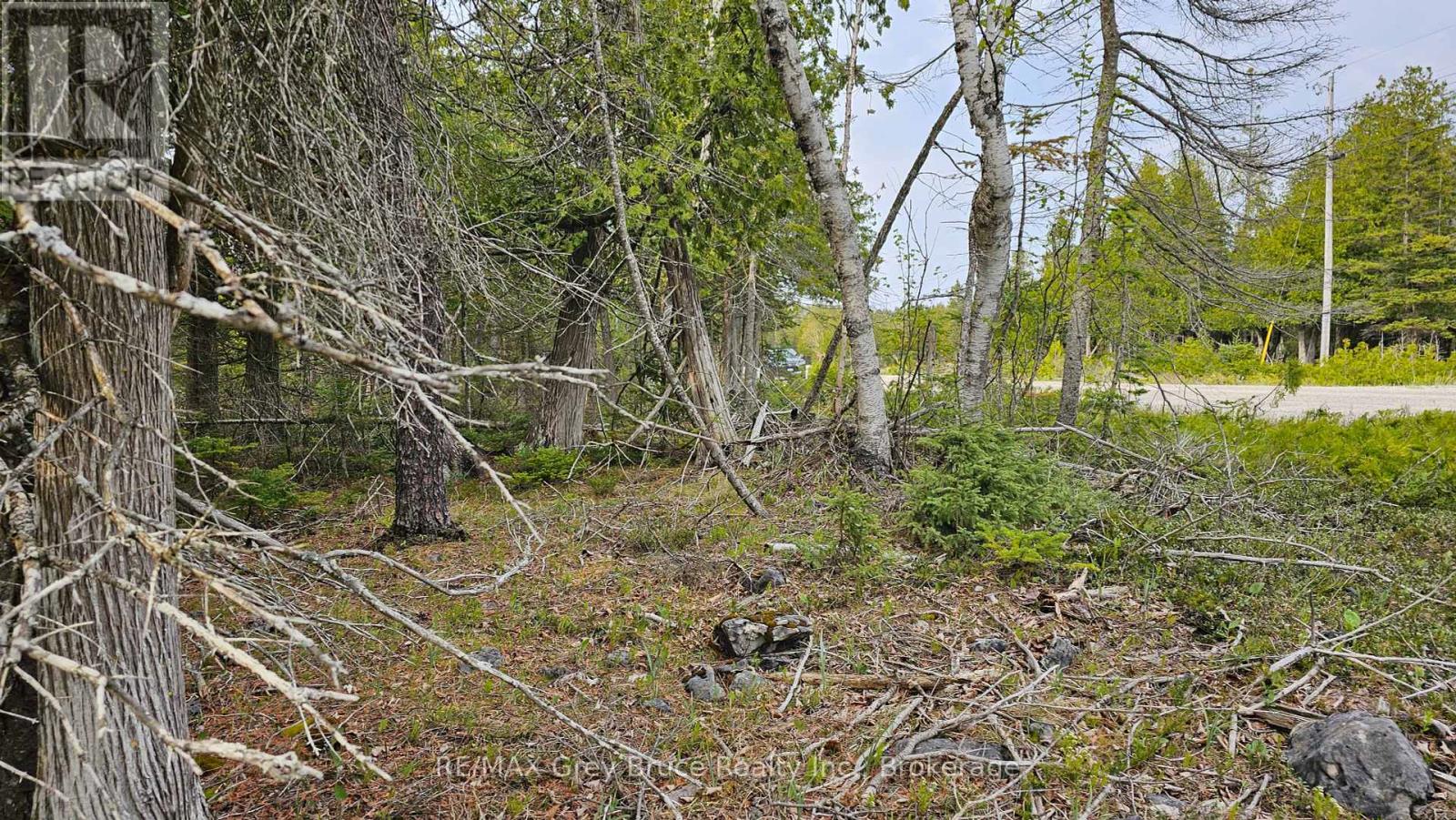 Lt 255 Pedwell Pt. Drive, Northern Bruce Peninsula, Ontario  N0H 2R0 - Photo 12 - X12129332