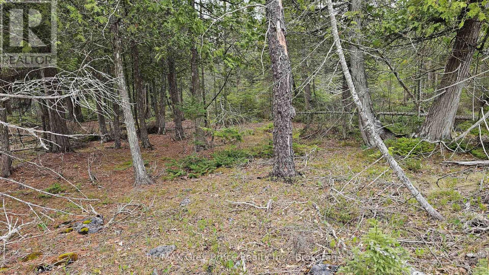Lt 255 Pedwell Pt. Drive, Northern Bruce Peninsula, Ontario  N0H 2R0 - Photo 13 - X12129332
