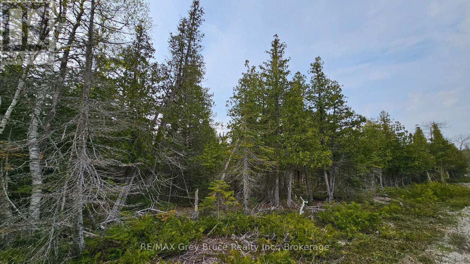 Lt 255 Pedwell Pt. Drive, Northern Bruce Peninsula, Ontario  N0H 2R0 - Photo 14 - X12129332