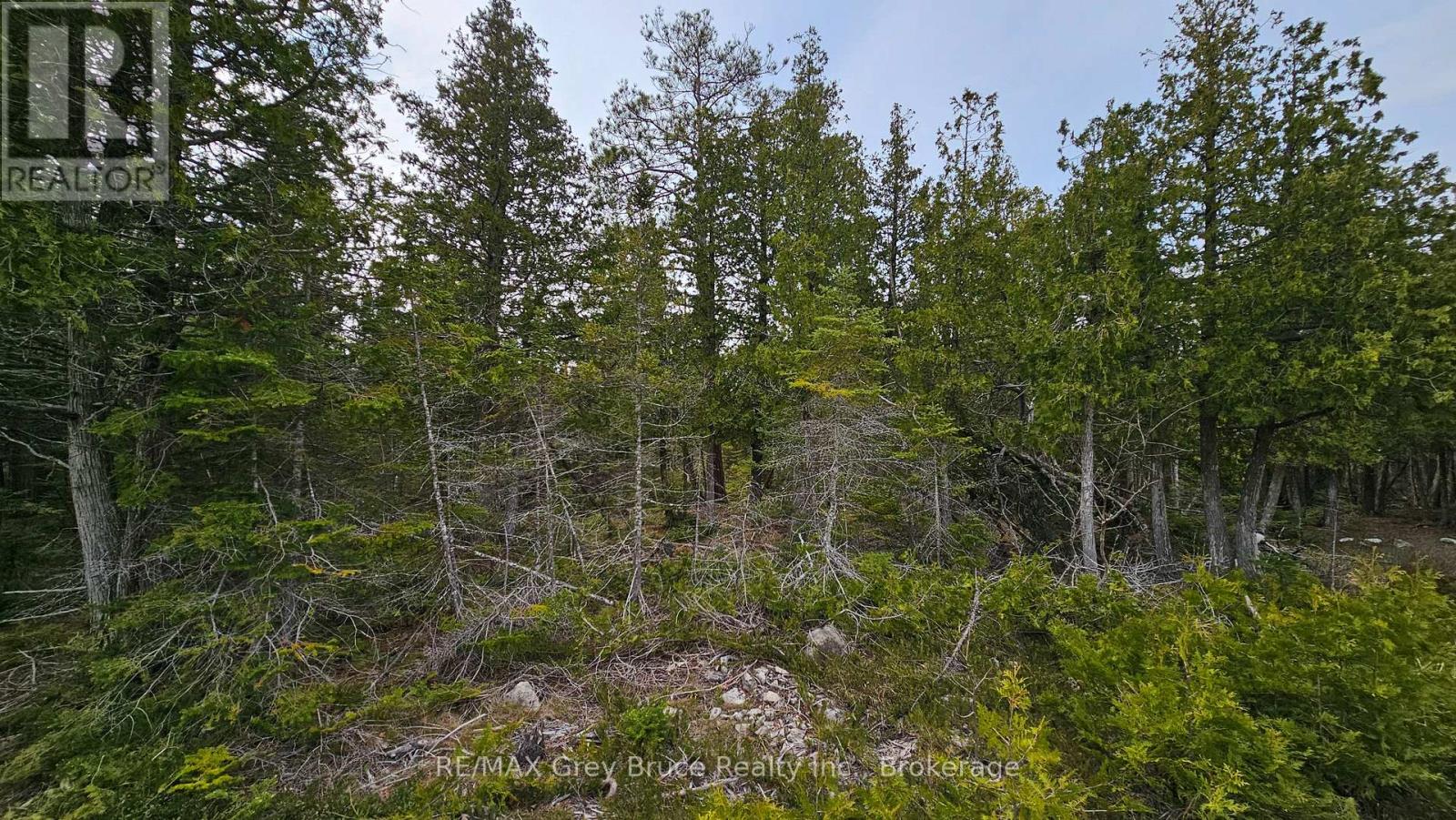Lt 255 Pedwell Pt. Drive, Northern Bruce Peninsula, Ontario  N0H 2R0 - Photo 15 - X12129332