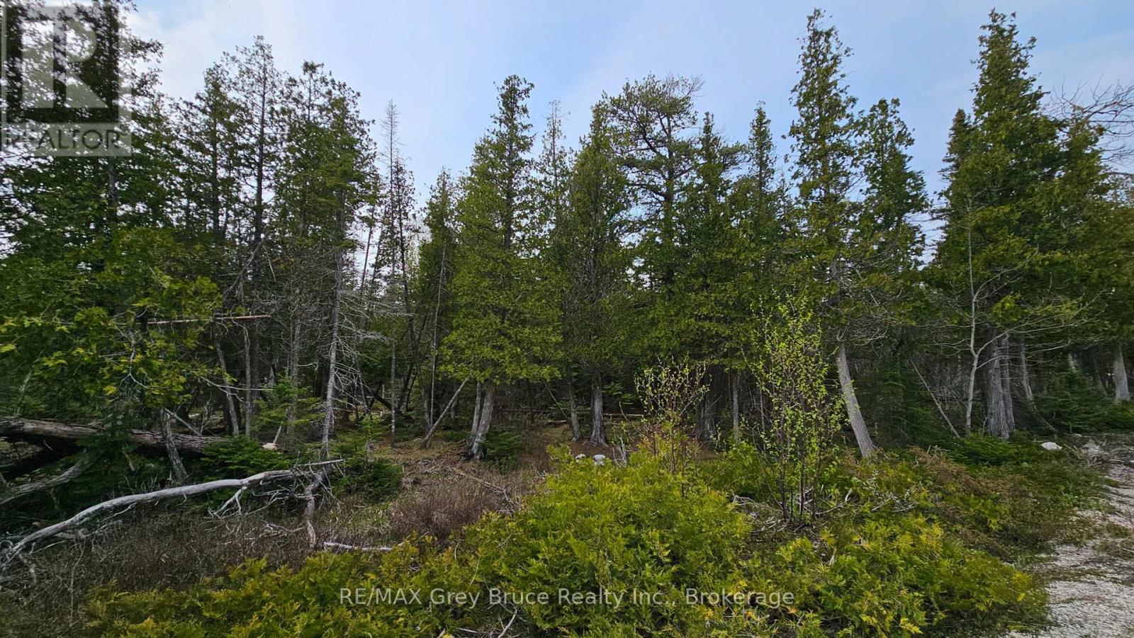 Lt 255 Pedwell Pt. Drive, Northern Bruce Peninsula, Ontario  N0H 2R0 - Photo 17 - X12129332