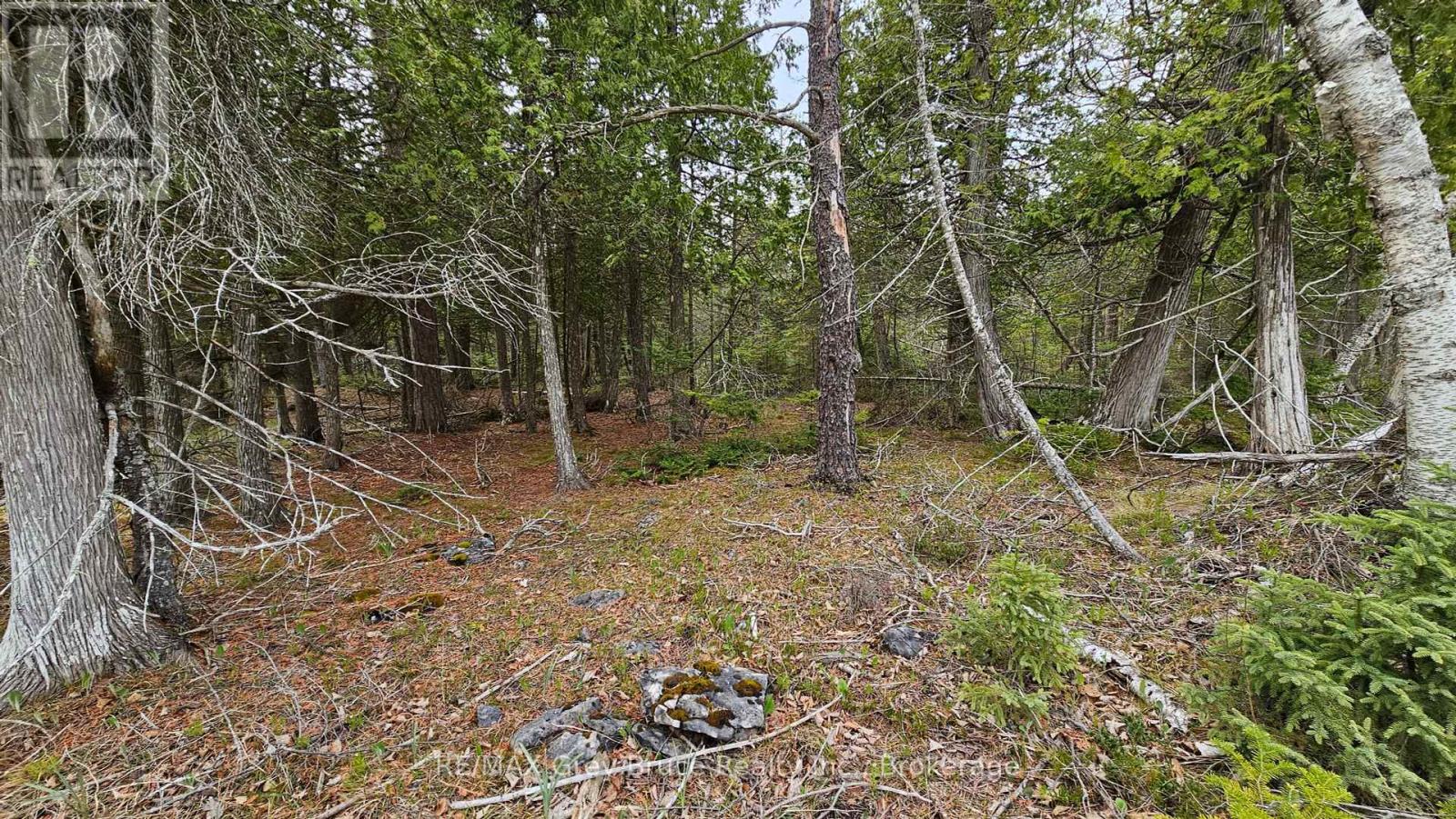 Lt 255 Pedwell Pt. Drive, Northern Bruce Peninsula, Ontario  N0H 2R0 - Photo 2 - X12129332