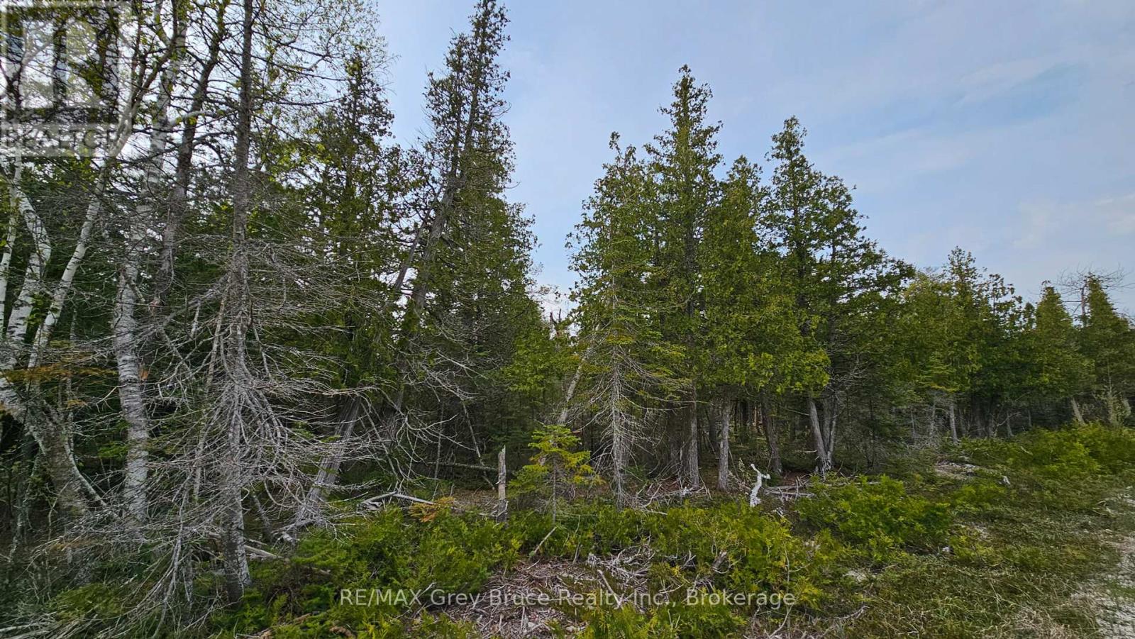 Lt 255 Pedwell Pt. Drive, Northern Bruce Peninsula, Ontario  N0H 2R0 - Photo 4 - X12129332