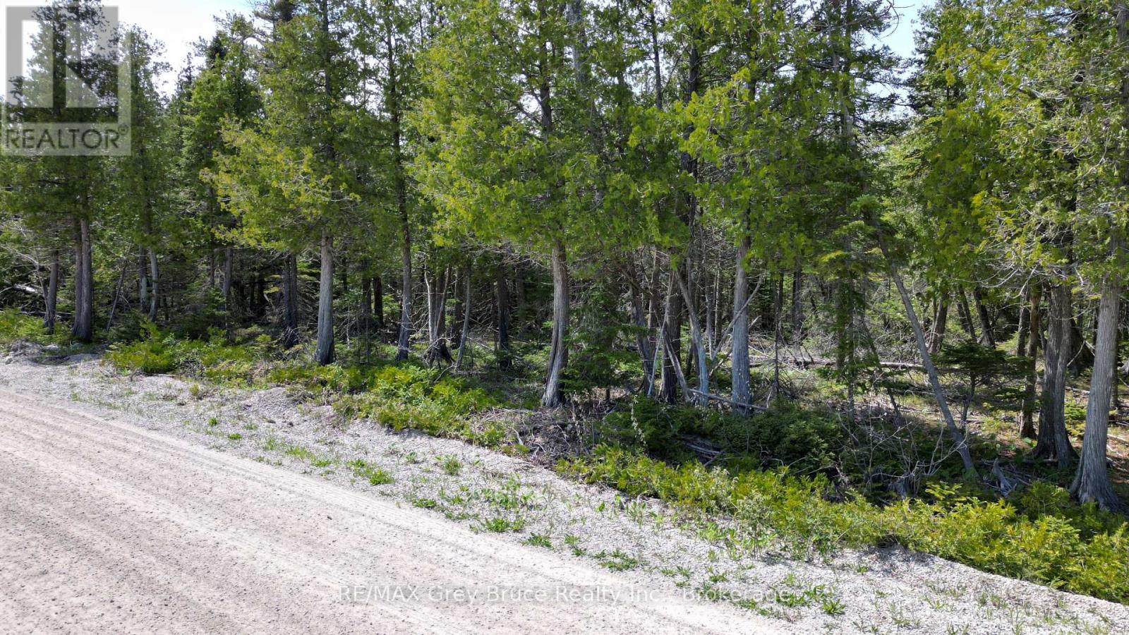 Lt 255 Pedwell Pt. Drive, Northern Bruce Peninsula, Ontario  N0H 2R0 - Photo 5 - X12129332