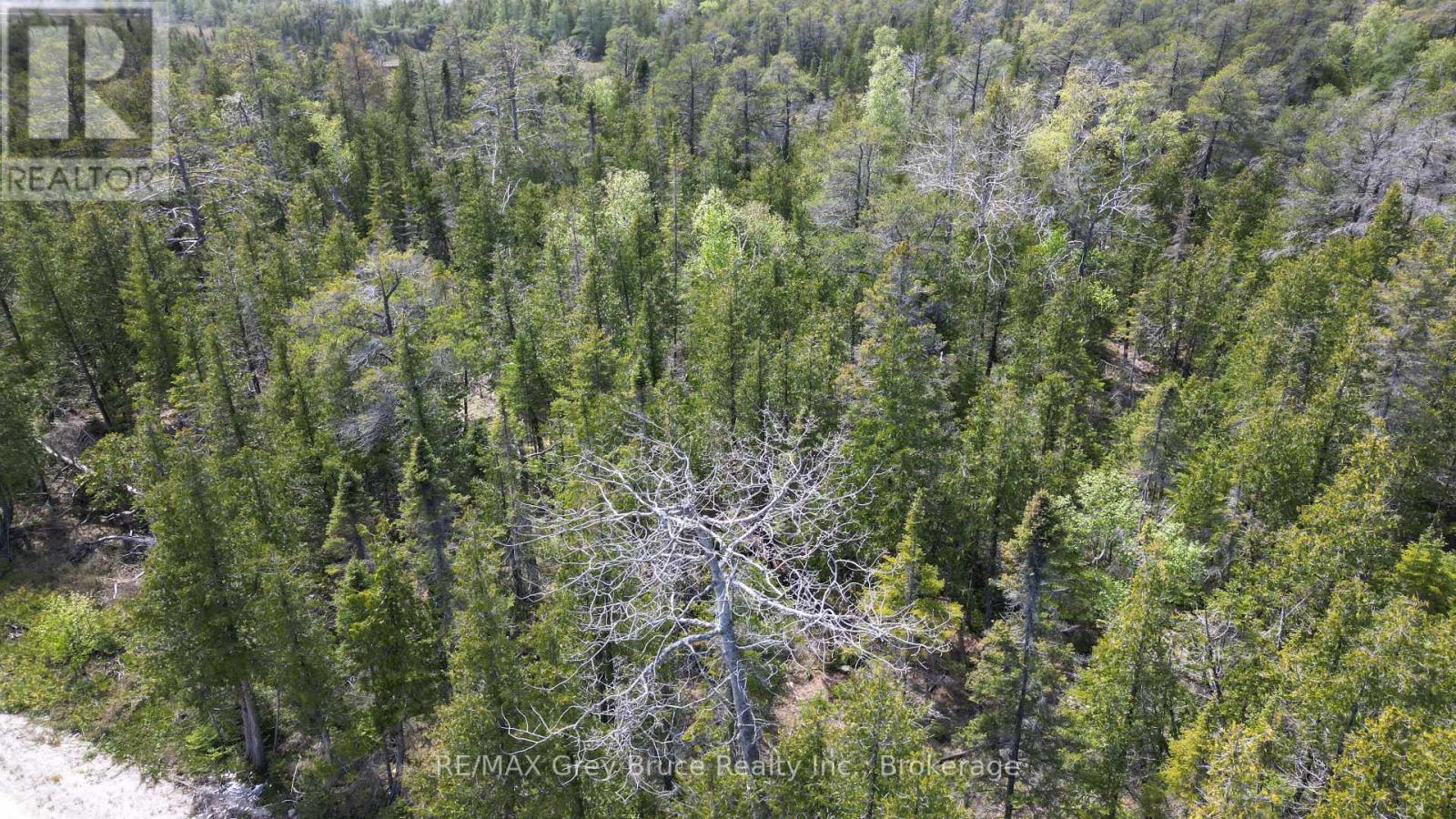 Lt 255 Pedwell Pt. Drive, Northern Bruce Peninsula, Ontario  N0H 2R0 - Photo 6 - X12129332