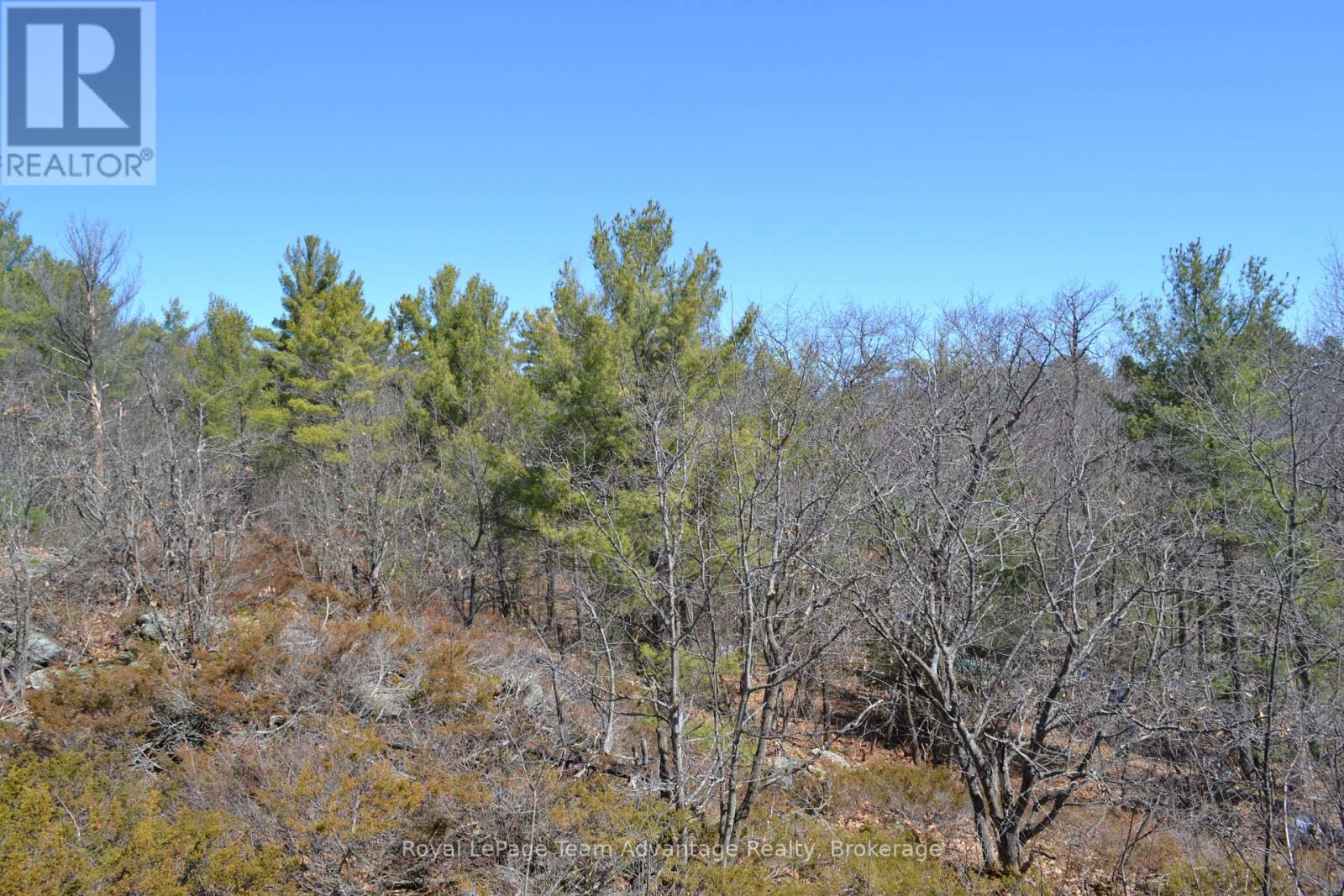 25 A 27 Island, The Archipelago, Ontario  P0G 1K0 - Photo 17 - X12131924
