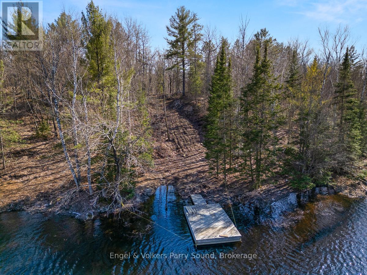 703 Bunny Trail, Whitestone, Ontario  P0A 1G0 - Photo 12 - X12131986