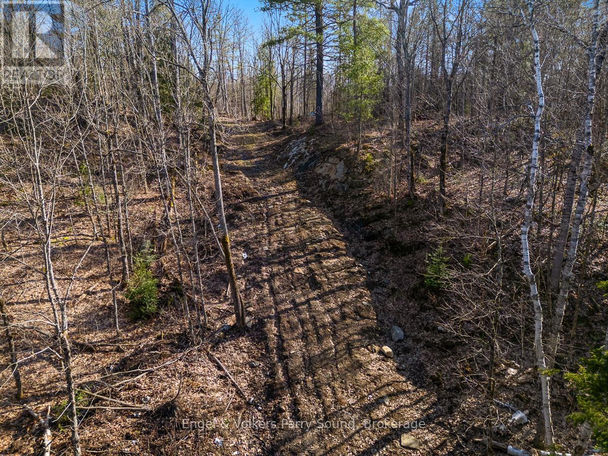 703 Bunny Trail, Whitestone, Ontario  P0A 1G0 - Photo 13 - X12131986