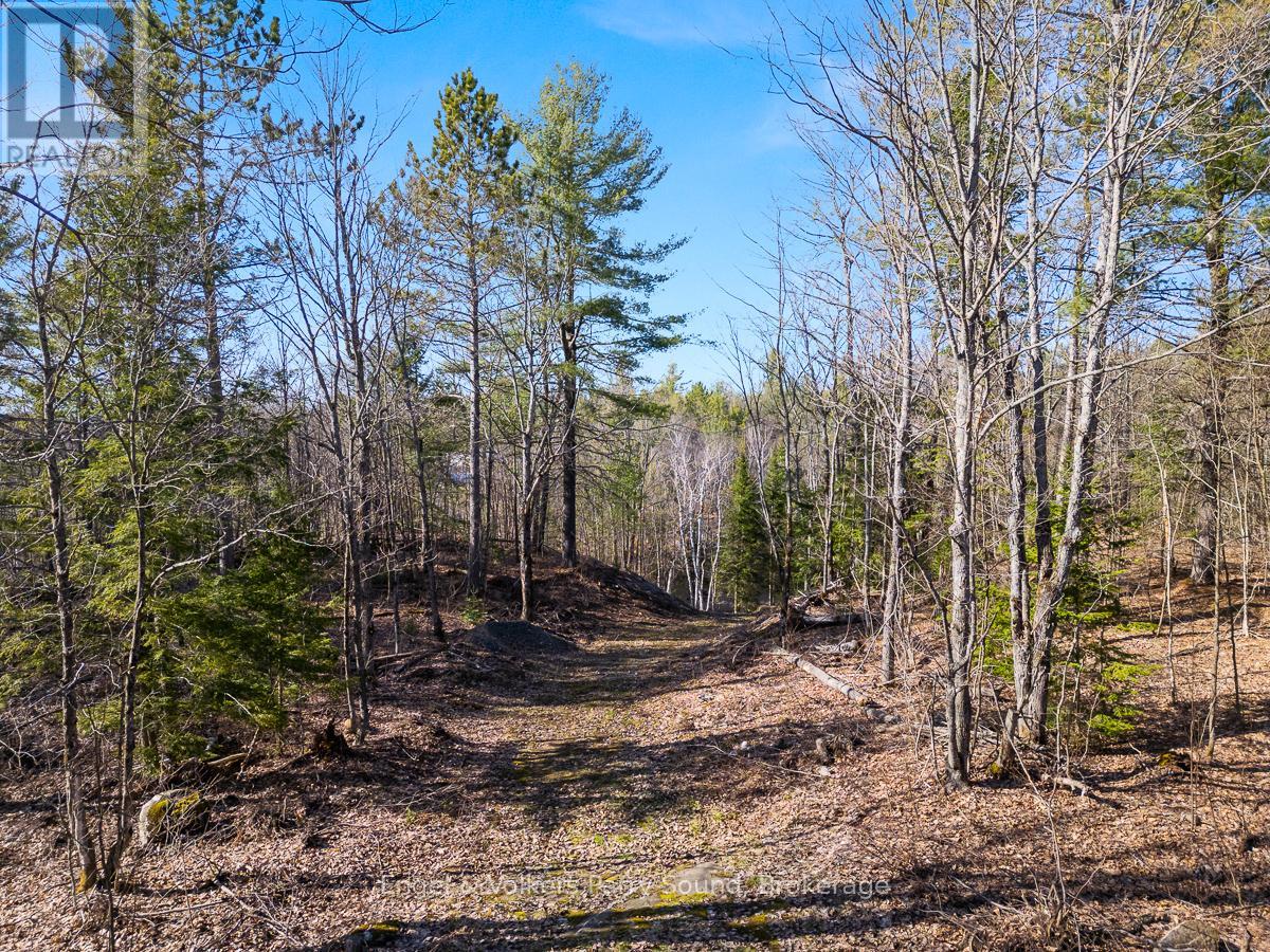 703 Bunny Trail, Whitestone, Ontario  P0A 1G0 - Photo 14 - X12131986