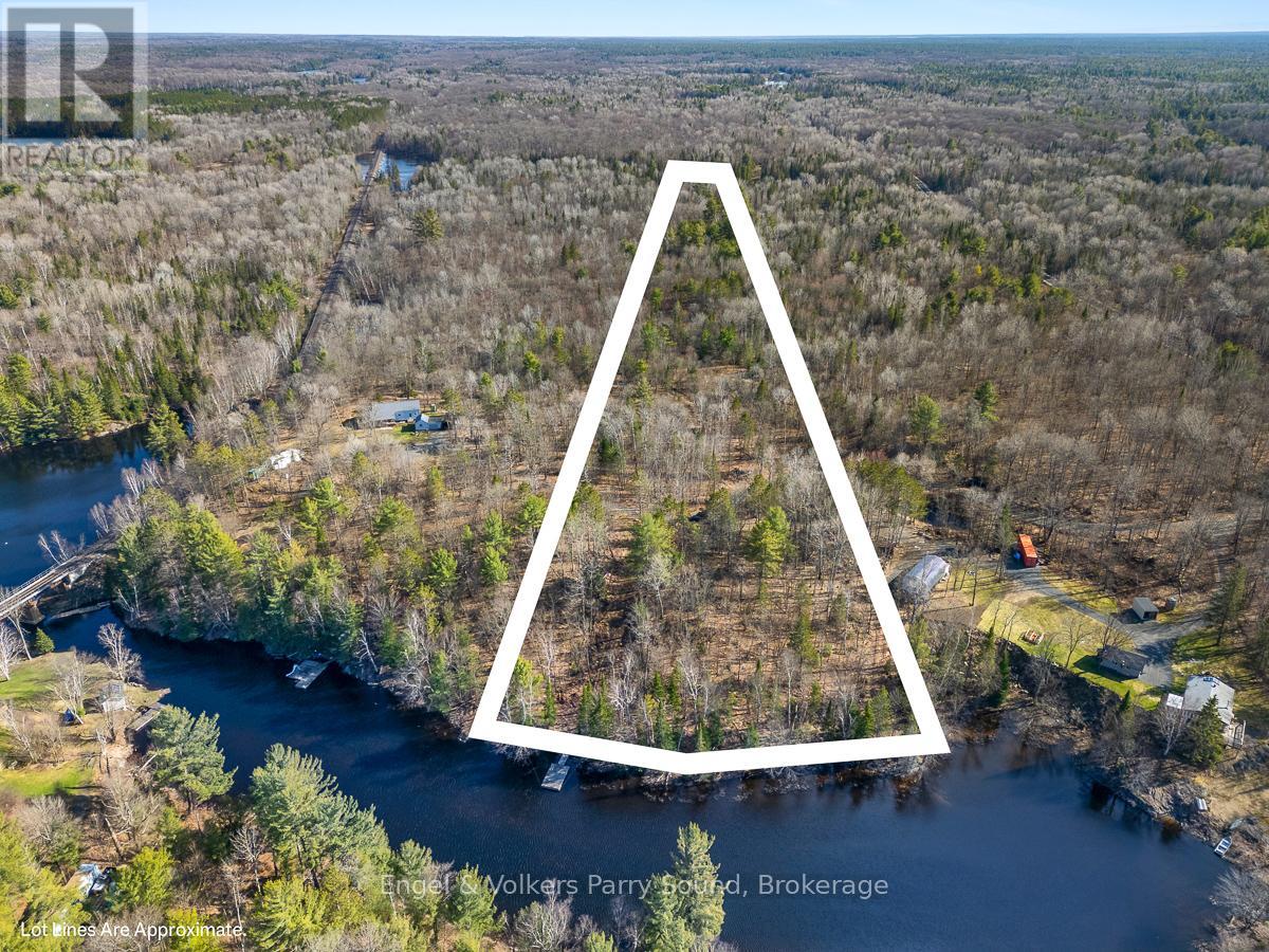 703 Bunny Trail, Whitestone, Ontario  P0A 1G0 - Photo 3 - X12131986
