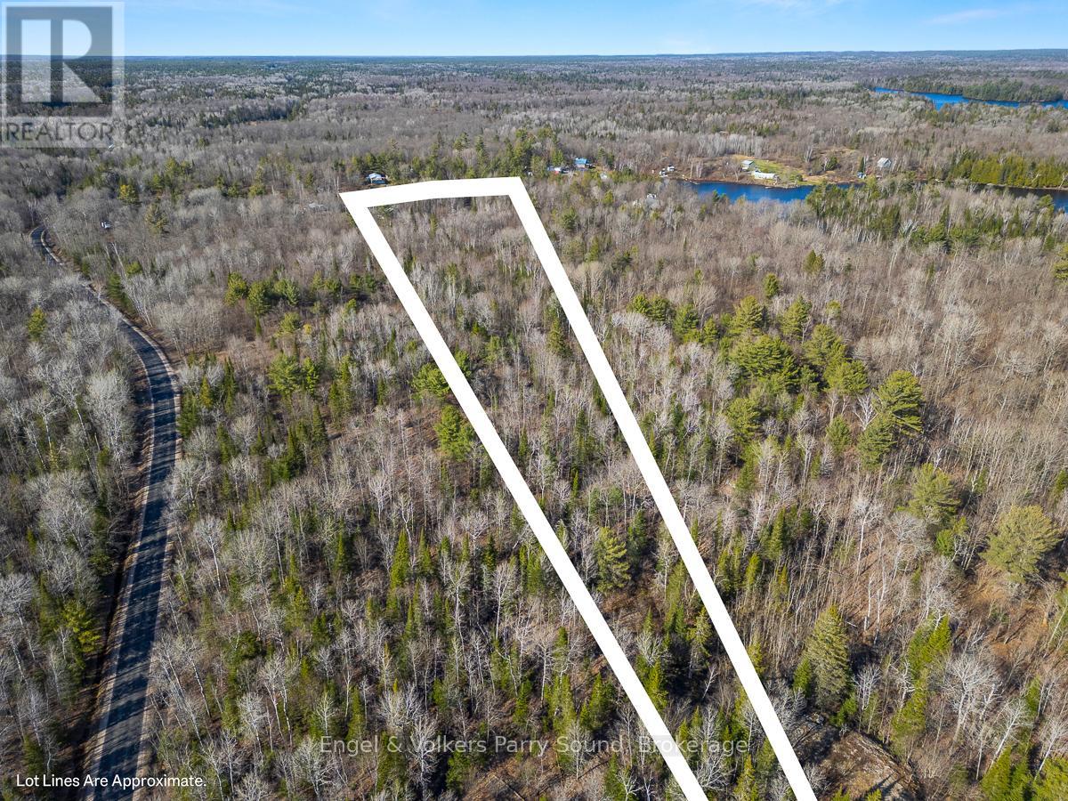703 Bunny Trail, Whitestone, Ontario  P0A 1G0 - Photo 4 - X12131986