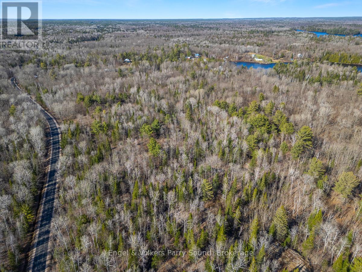 703 Bunny Trail, Whitestone, Ontario  P0A 1G0 - Photo 7 - X12131986
