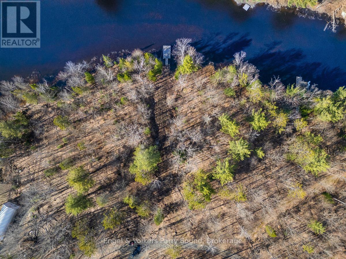 703 Bunny Trail, Whitestone, Ontario  P0A 1G0 - Photo 8 - X12131986
