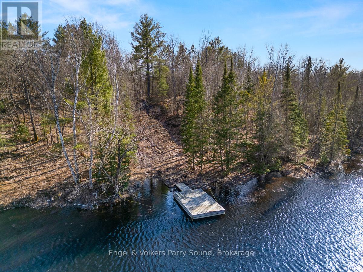 703 Bunny Trail, Whitestone, Ontario  P0A 1G0 - Photo 9 - X12131986