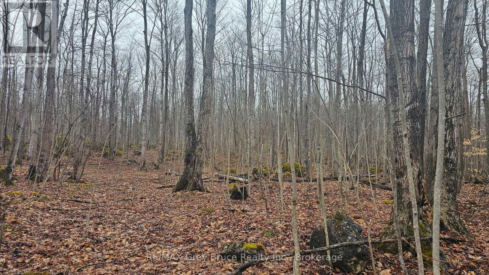 Pt Lt 15 Concession Rd 21 Road, Georgian Bluffs, Ontario  N0H 2T0 - Photo 10 - X12132437