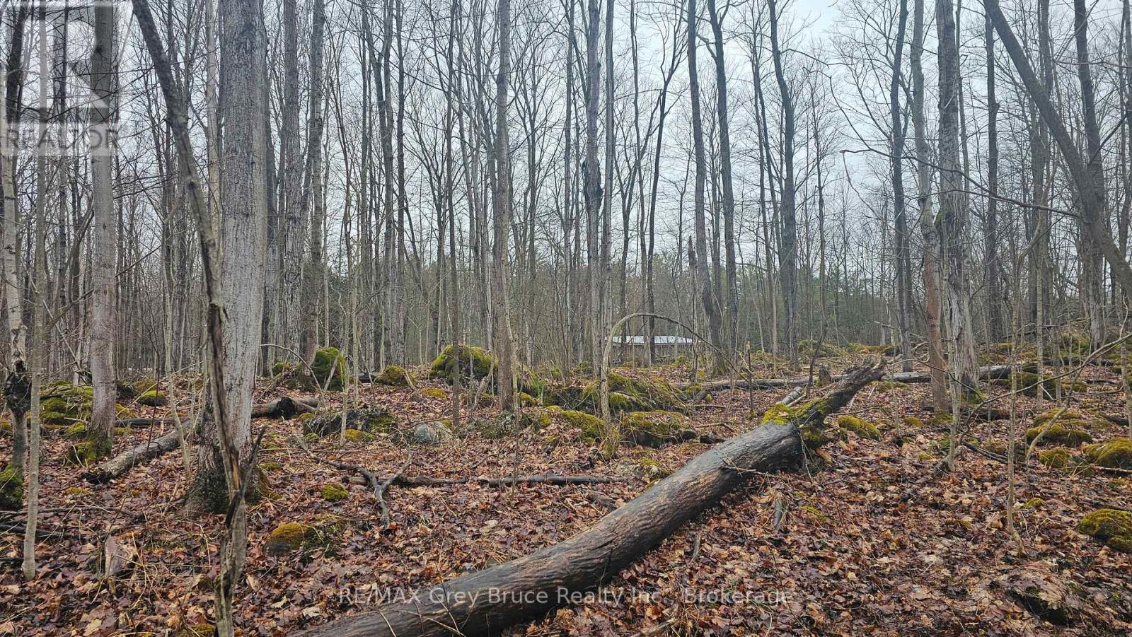 Pt Lt 15 Concession Rd 21 Road, Georgian Bluffs, Ontario  N0H 2T0 - Photo 11 - X12132437