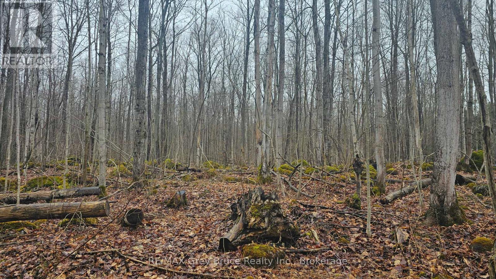 Pt Lt 15 Concession Rd 21 Road, Georgian Bluffs, Ontario  N0H 2T0 - Photo 12 - X12132437