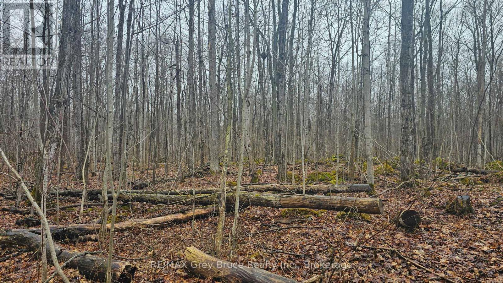 Pt Lt 15 Concession Rd 21 Road, Georgian Bluffs, Ontario  N0H 2T0 - Photo 13 - X12132437