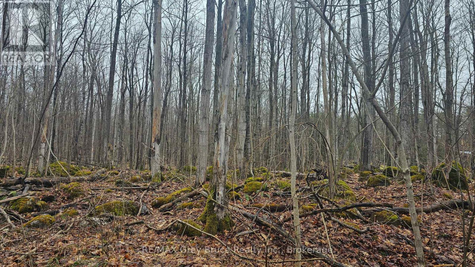 Pt Lt 15 Concession Rd 21 Road, Georgian Bluffs, Ontario  N0H 2T0 - Photo 15 - X12132437