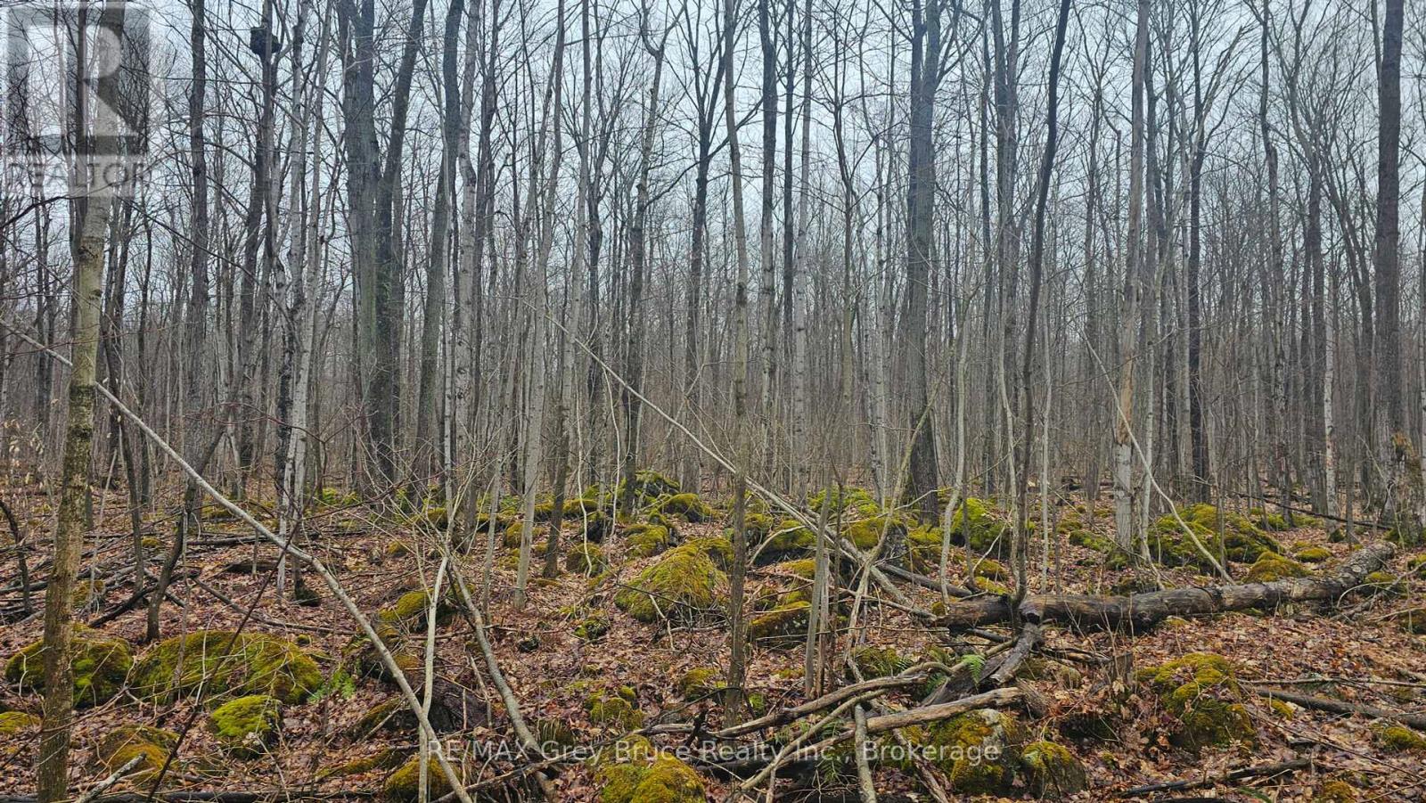Pt Lt 15 Concession Rd 21 Road, Georgian Bluffs, Ontario  N0H 2T0 - Photo 16 - X12132437