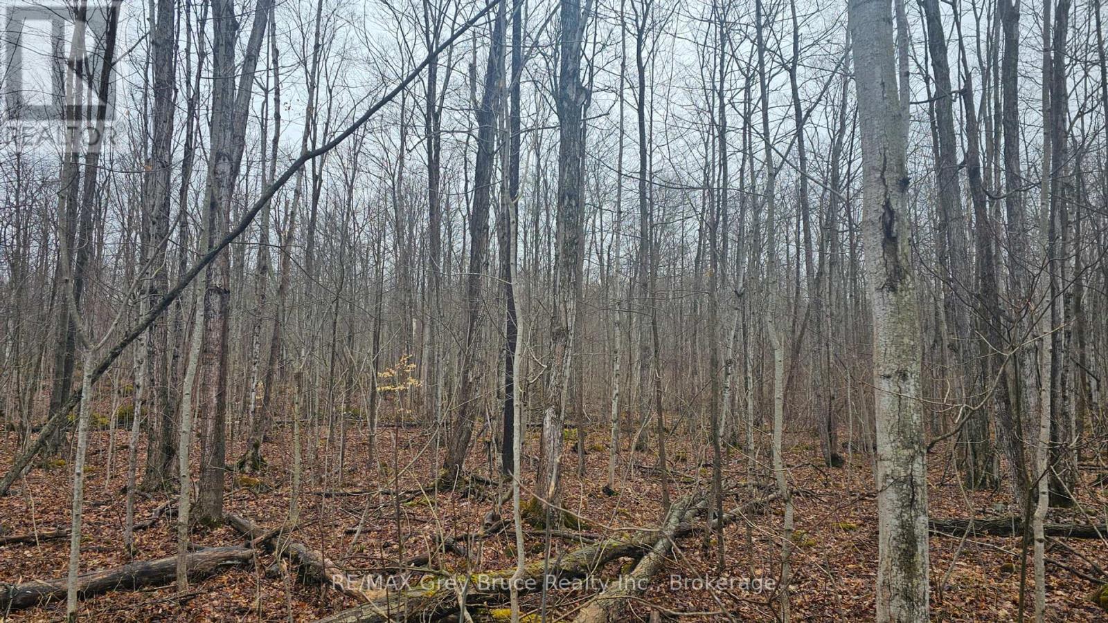 Pt Lt 15 Concession Rd 21 Road, Georgian Bluffs, Ontario  N0H 2T0 - Photo 17 - X12132437