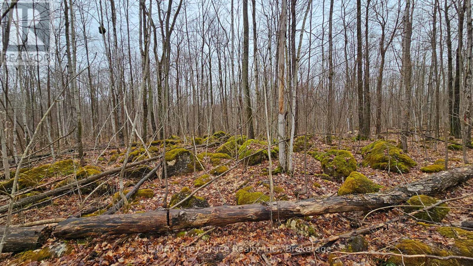 Pt Lt 15 Concession Rd 21 Road, Georgian Bluffs, Ontario  N0H 2T0 - Photo 21 - X12132437