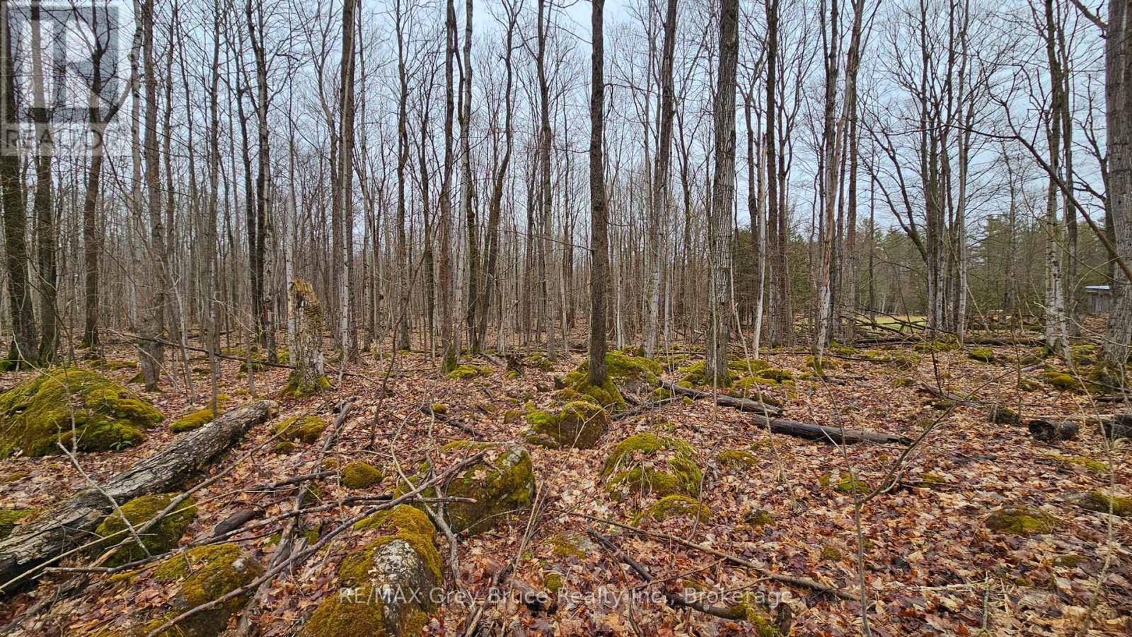Pt Lt 15 Concession Rd 21 Road, Georgian Bluffs, Ontario  N0H 2T0 - Photo 22 - X12132437
