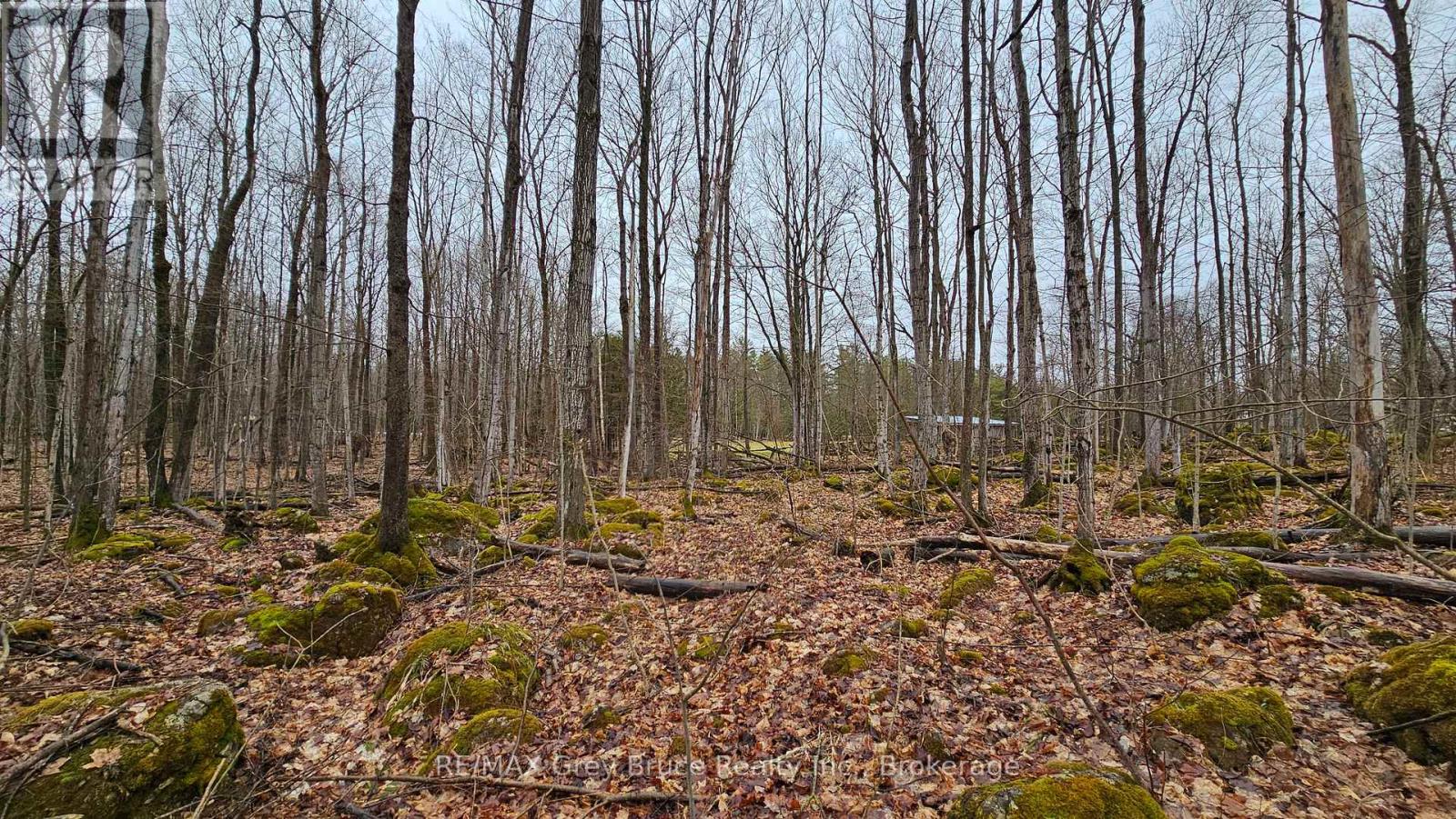 Pt Lt 15 Concession Rd 21 Road, Georgian Bluffs, Ontario  N0H 2T0 - Photo 23 - X12132437