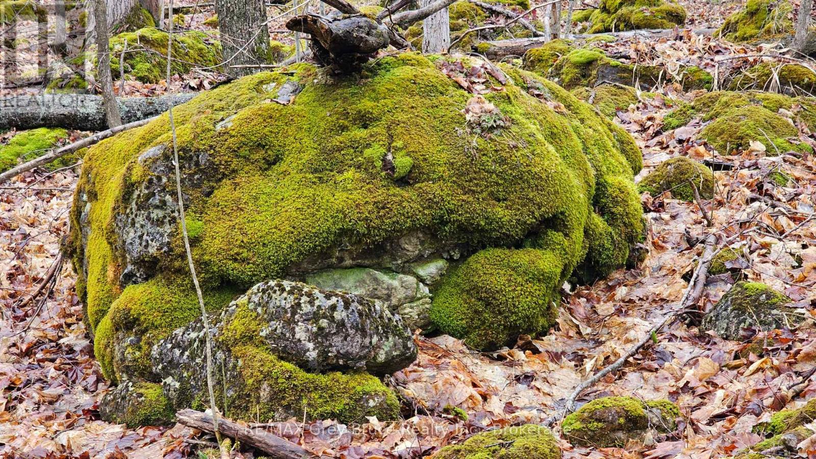Pt Lt 15 Concession Rd 21 Road, Georgian Bluffs, Ontario  N0H 2T0 - Photo 24 - X12132437
