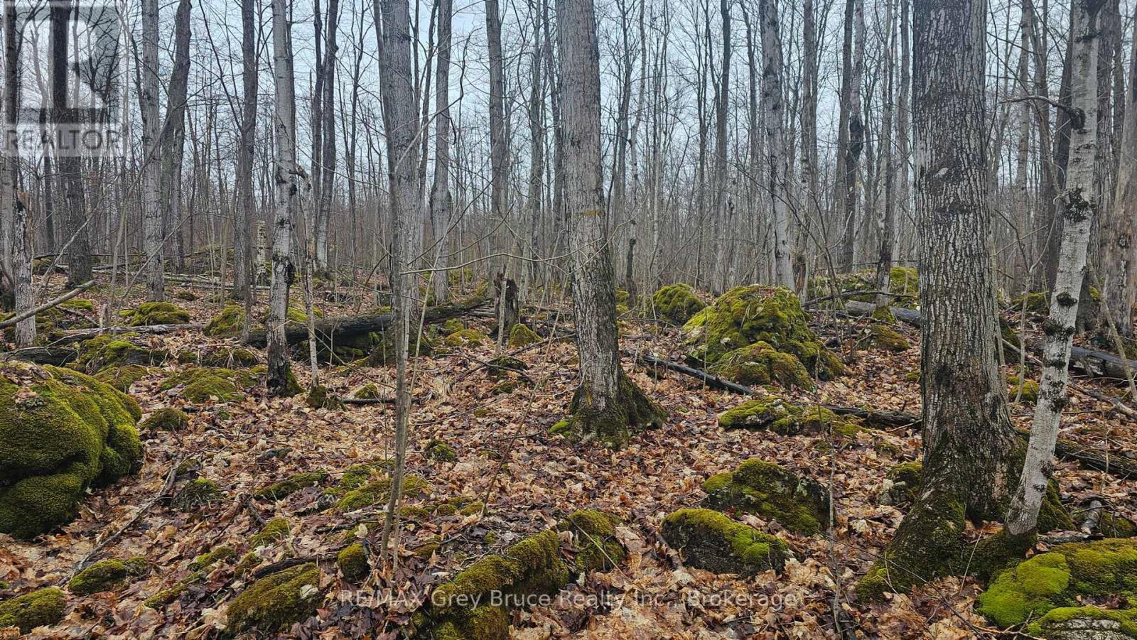 Pt Lt 15 Concession Rd 21 Road, Georgian Bluffs, Ontario  N0H 2T0 - Photo 27 - X12132437