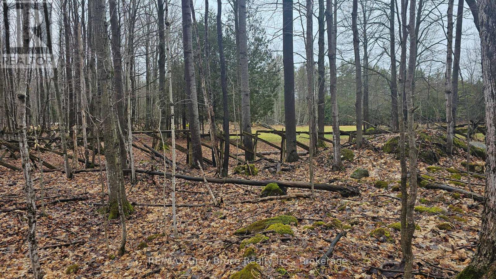 Pt Lt 15 Concession Rd 21 Road, Georgian Bluffs, Ontario  N0H 2T0 - Photo 28 - X12132437
