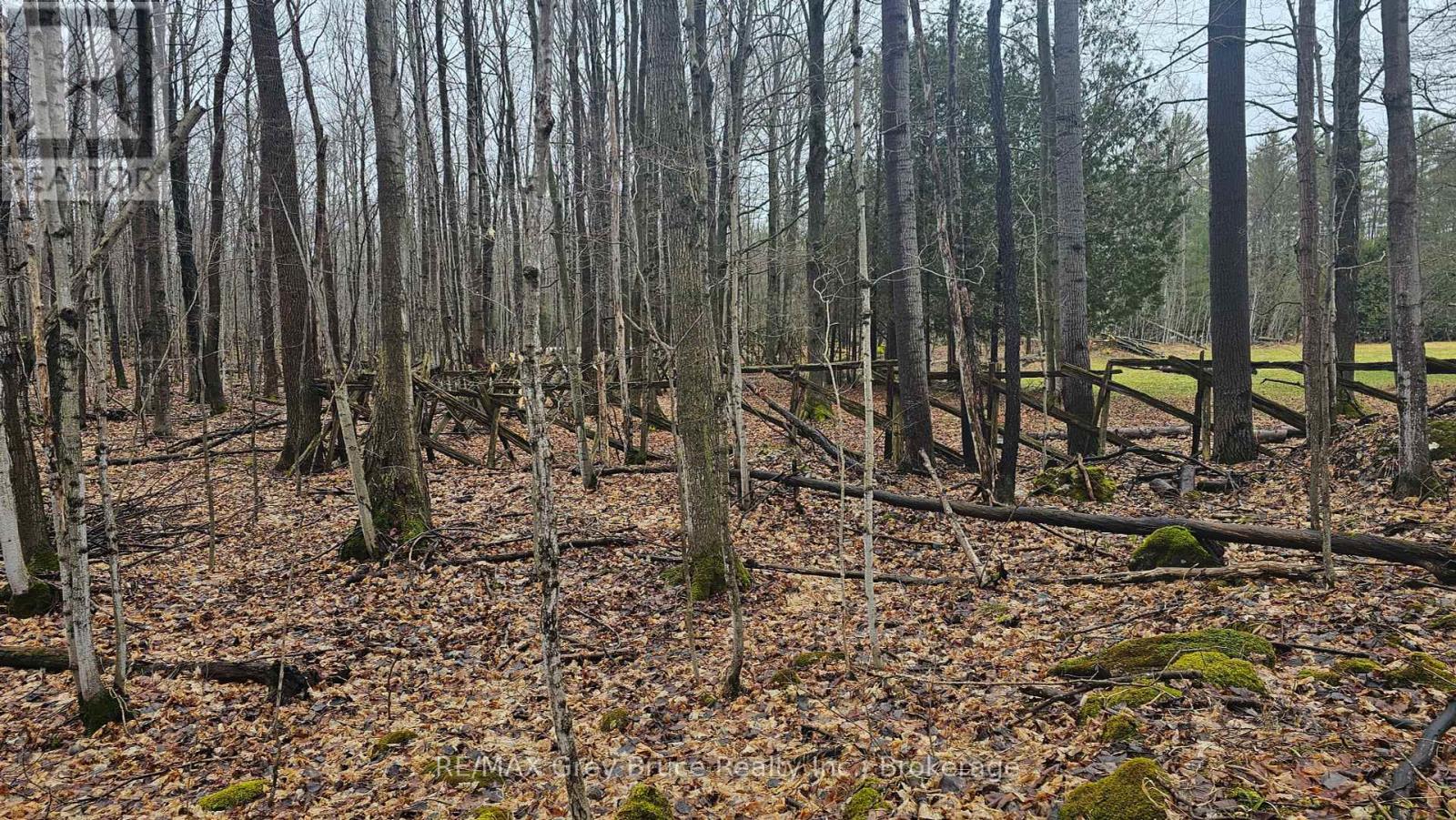 Pt Lt 15 Concession Rd 21 Road, Georgian Bluffs, Ontario  N0H 2T0 - Photo 29 - X12132437