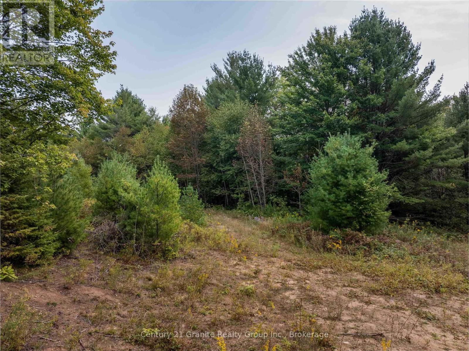 4729 County Road 121, Minden Hills, Ontario  K0M 2K0 - Photo 10 - X12132890