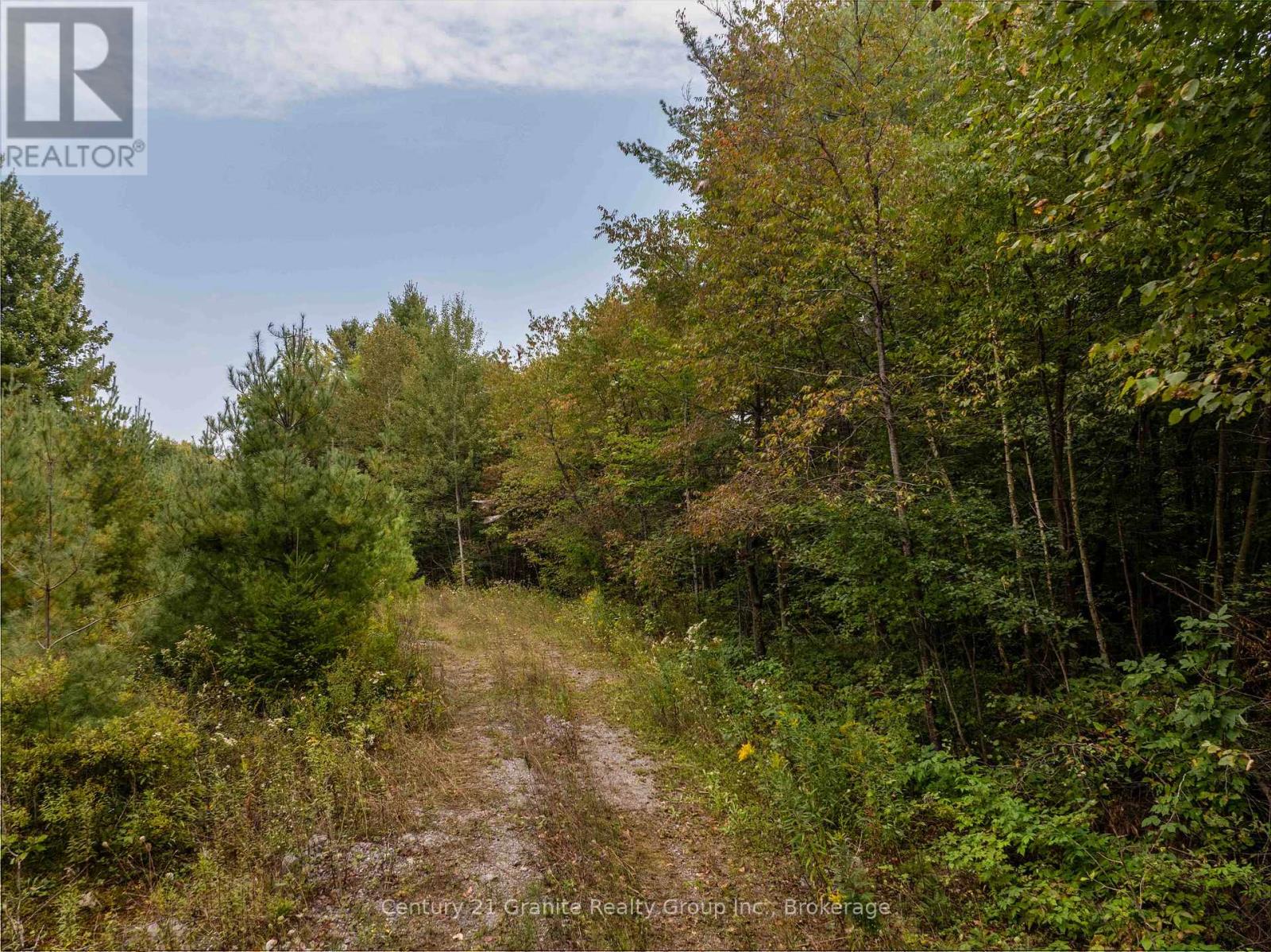 4729 County Road 121, Minden Hills, Ontario  K0M 2K0 - Photo 11 - X12132890