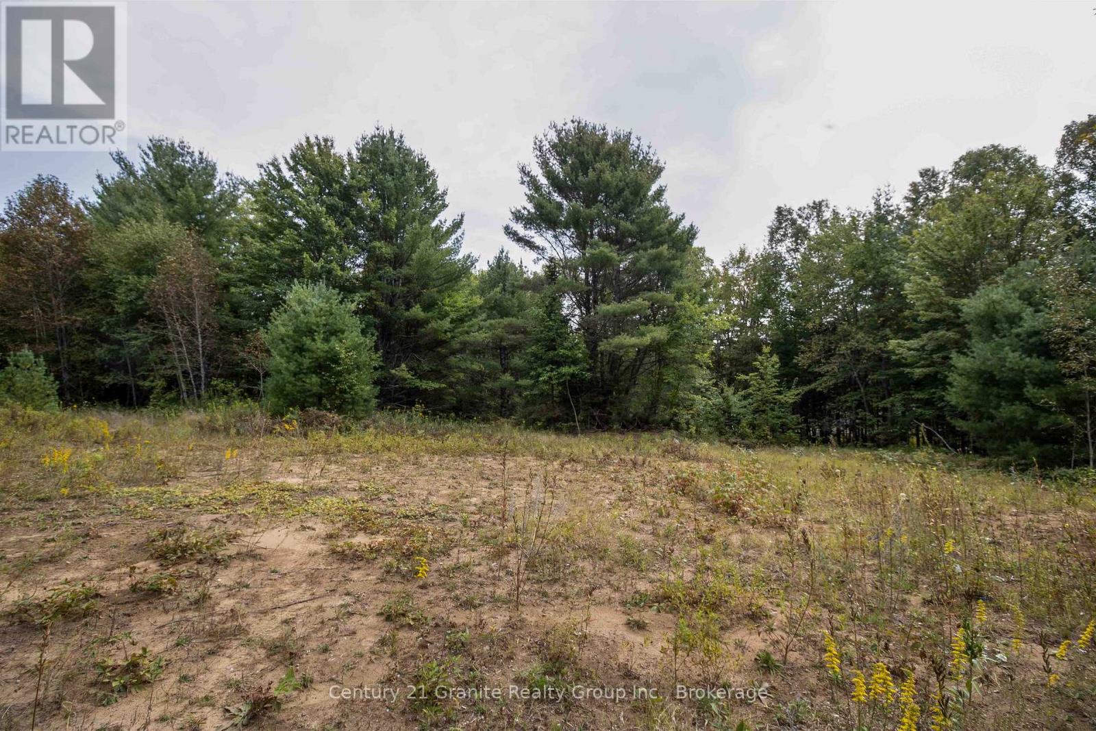 4729 County Road 121, Minden Hills, Ontario  K0M 2K0 - Photo 12 - X12132890