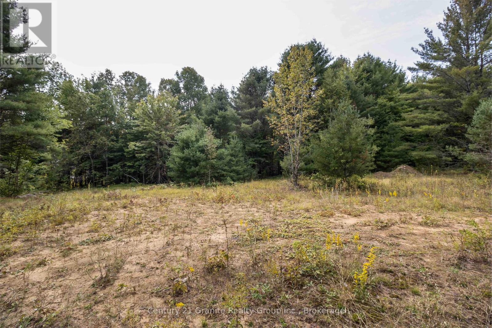 4729 County Road 121, Minden Hills, Ontario  K0M 2K0 - Photo 13 - X12132890