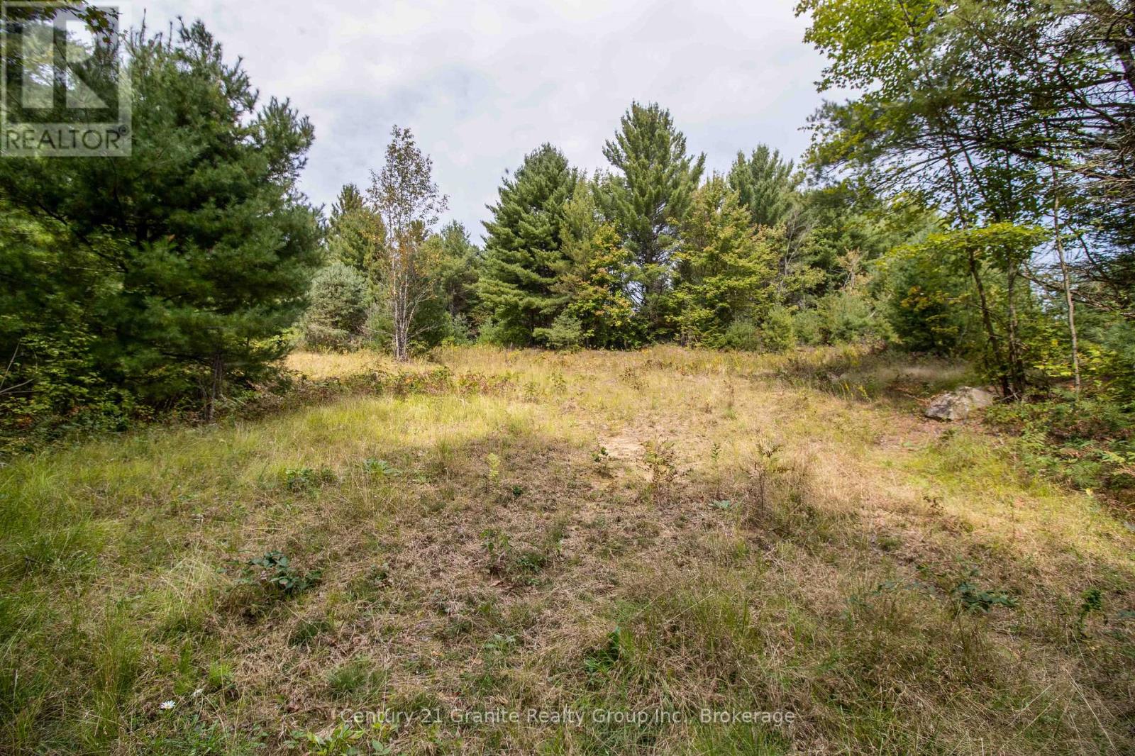 4729 County Road 121, Minden Hills, Ontario  K0M 2K0 - Photo 15 - X12132890